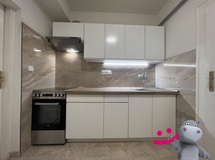 IMG_1532 | Pronájem bytu, 2+kk, 55 m²
