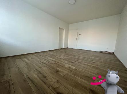 IMG_1501 | Pronájem bytu, 2+kk, 55 m²
