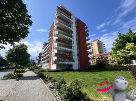 IMG_7929 3 | Prodej bytu, 2+kk, 63 m²