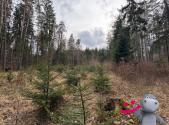 Prodej - pozemek, les, 9 588 m²