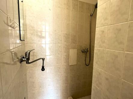 IMG_1941 | Prodej bytu, 3+1, 100 m²