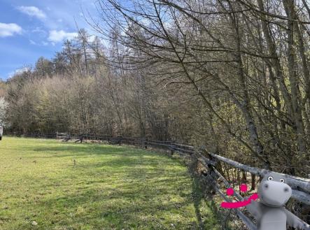 Prodej - pozemek, les, 3 109 m² obrázek
