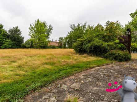 IMG_8411 | Prodej - pozemek pro bydlení, 13 938 m²