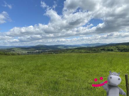 Prodej - pozemek, trvalý travní porost, 5 517 m²