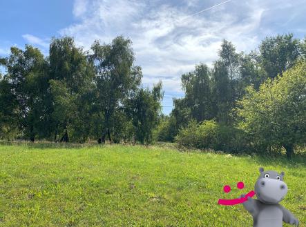 IMG_4952 | Prodej - pozemek, trvalý travní porost, 5 517 m²