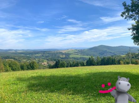 IMG_4955 | Prodej - pozemek, trvalý travní porost, 5 517 m²