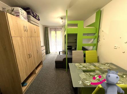 IMG_2717 | Prodej bytu, 1+kk, 23 m²