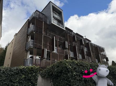 IMG_7877 | Prodej bytu, 1+kk, 56 m²