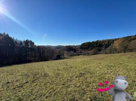 3e984aad-e076-4225-abba-d34922029ce3 | Prodej - pozemek, trvalý travní porost, 4 837 m²