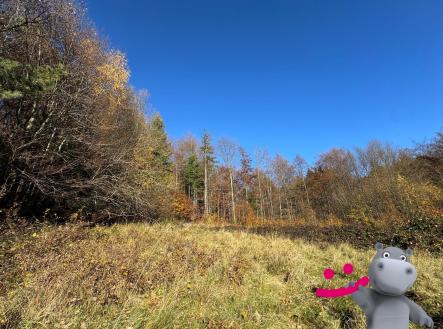 f4118a83-677d-43fb-b33c-be149b0512a0 | Prodej - pozemek, trvalý travní porost, 4 837 m²