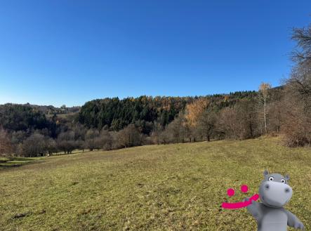 ce5a1d7a-3eb7-43b5-bf84-d332370f1816 | Prodej - pozemek, trvalý travní porost, 4 837 m²