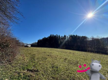 fe4c78f9-e8d9-4e5a-a26c-e80534efbf02 | Prodej - pozemek, trvalý travní porost, 4 837 m²
