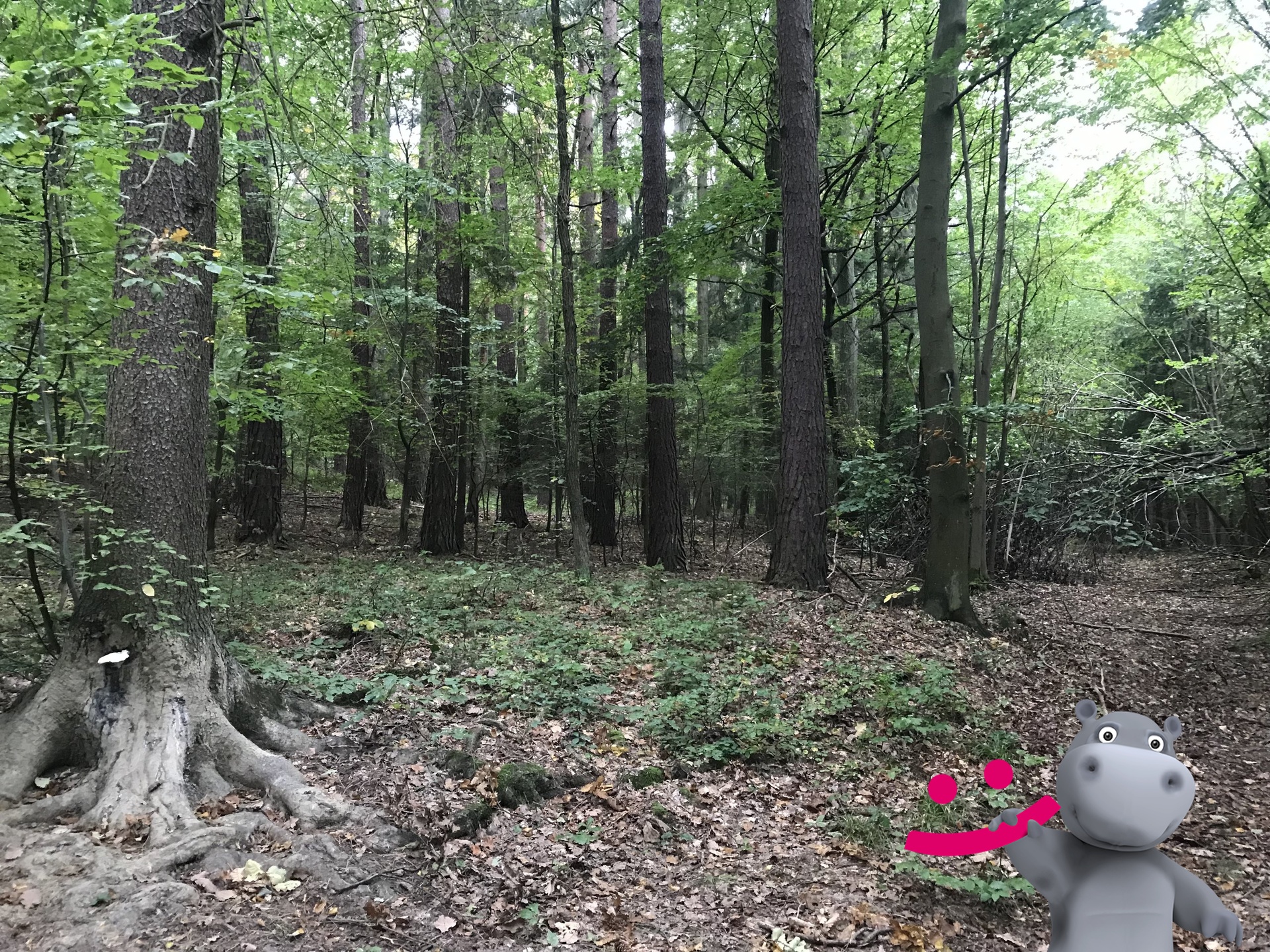 160DDC4C-C466-426A-AE25-05F9BD167FB9