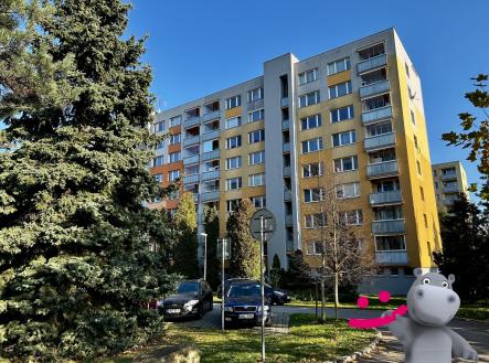 IMG_8669 | Pronájem bytu, 3+kk, 79 m²