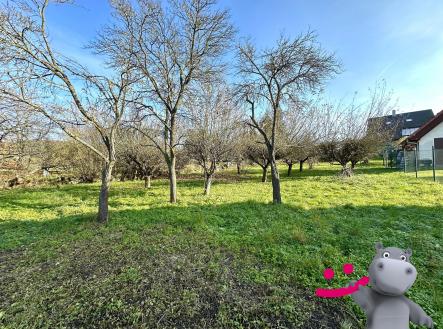 IMG_4536 | Prodej - pozemek pro bydlení, 1 519 m²