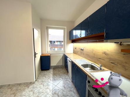 IMG_4206 | Pronájem bytu, 3+1, 82 m²