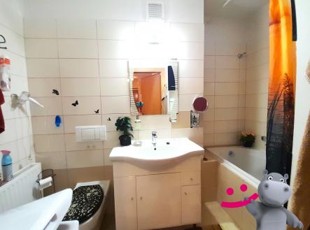 20240723_181516 | Pronájem bytu, 1+kk, 45 m²