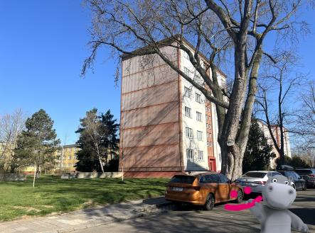 IMG_5988 | Pronájem bytu, 2+1, 52 m²