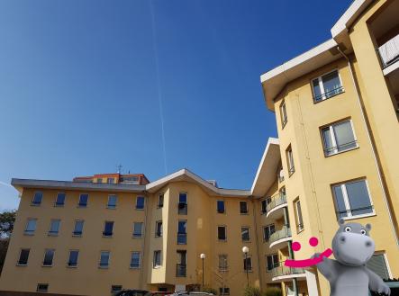 20191031_120149 | Pronájem bytu, 1+kk, 39 m²