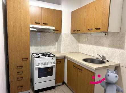 IMG_6396 | Pronájem bytu, 1+kk, 39 m²