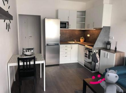 ec82496d-a175-4449-b5bc-19f8a21ddf5f | Pronájem bytu, 2+kk, 41 m²