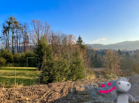 IMG_6832 | Prodej - pozemek pro bydlení, 1 646 m²