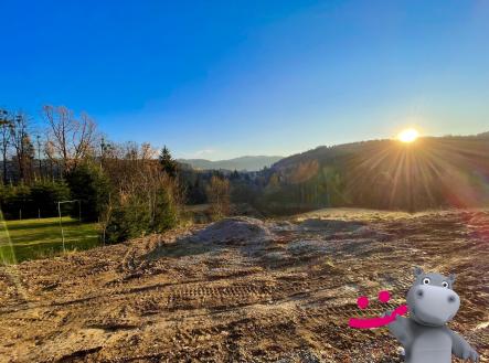 IMG_6845 | Prodej - pozemek pro bydlení, 1 646 m²