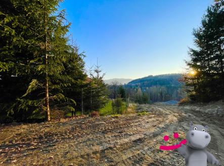 IMG_6878 | Prodej - pozemek pro bydlení, 1 646 m²