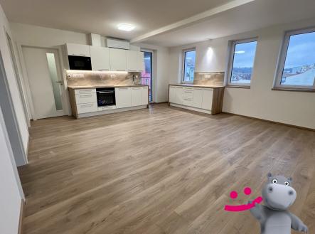 IMG_7471 | Pronájem bytu, 4+kk, 92 m²