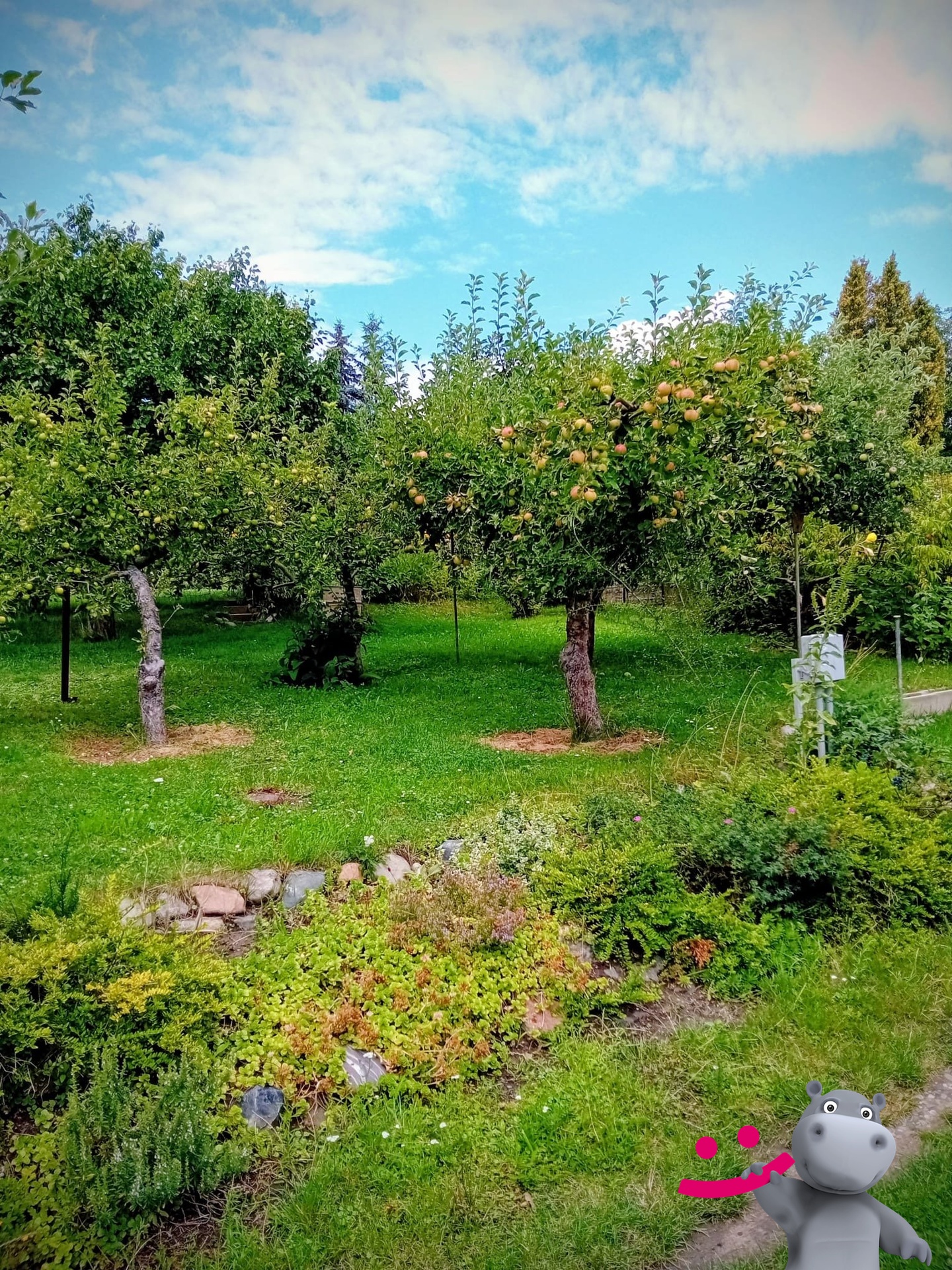 2f2fb13f-6d10-4ead-ab68-984bd7e8eb39