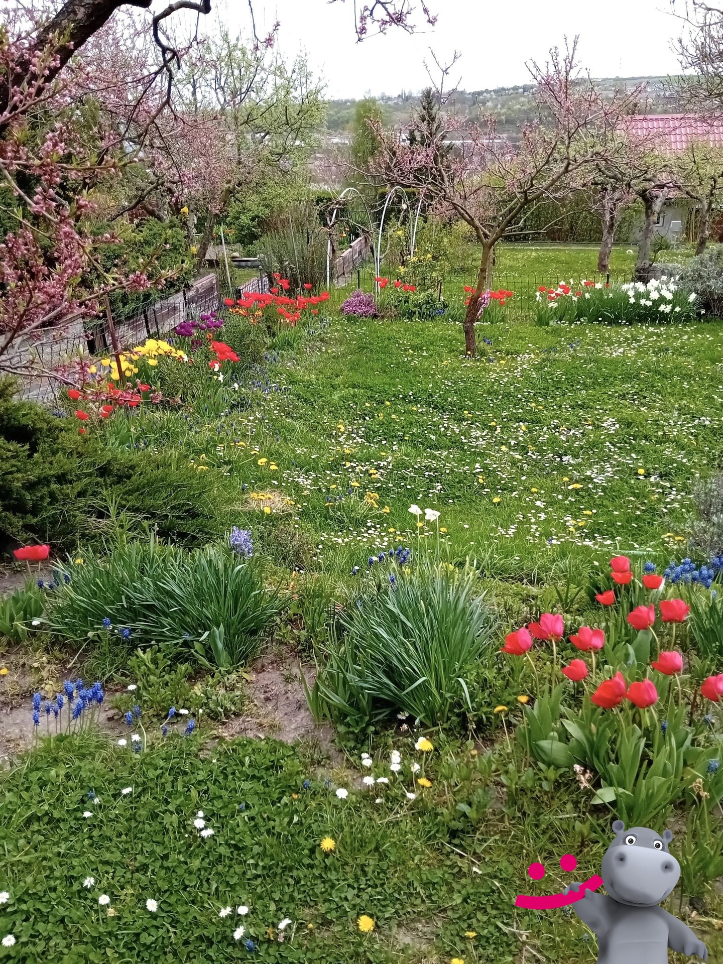 46218eed-d027-4417-b4df-d1b931b51e73