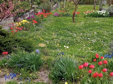 46218eed-d027-4417-b4df-d1b931b51e73 | Prodej - chata/rekreační objekt, 13 m²