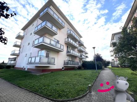 IMG_4418 2 | Pronájem bytu, 1+kk, 31 m²