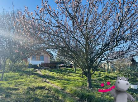 IMG_8746 | Prodej - chata/rekreační objekt, 14 m²