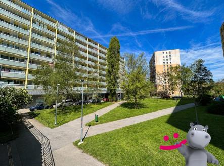 CED7E144-5F18-4B8E-AC9C-496E58016E11 | Pronájem bytu, 2+kk, 43 m²