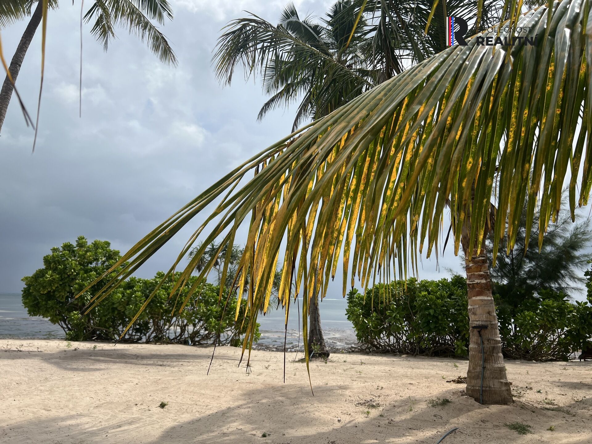 Prodej nemovitosti na ostrově  Zanzibar 1 minutu od pláže