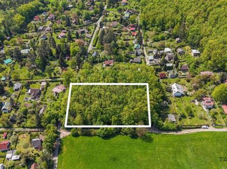 . | Prodej - pozemek, les, 6 490 m²