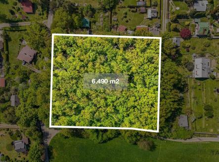 . | Prodej - pozemek, les, 6 490 m²