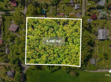 . | Prodej - pozemek, les, 6 490 m²