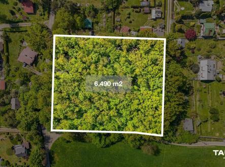 . | Prodej - pozemek, les, 6 490 m²