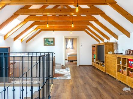 . | Prodej - dům/vila, 730 m²