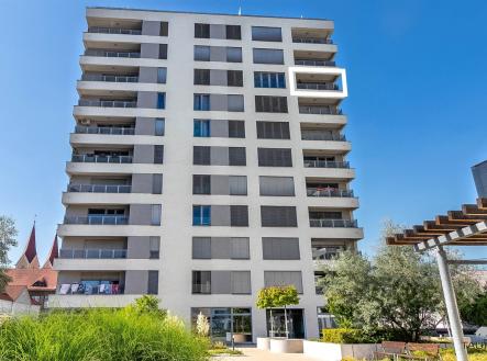 Pronájem bytu, 2+kk, 65 m² obrázek