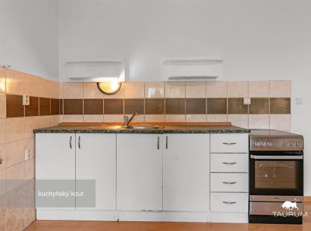 Malý kuchyňský kout s keramickými obklady, dřezem a elektrickým sporákem, parketová podlaha, moderní osvětlení. | Prodej bytu, 2+kk, 51 m²