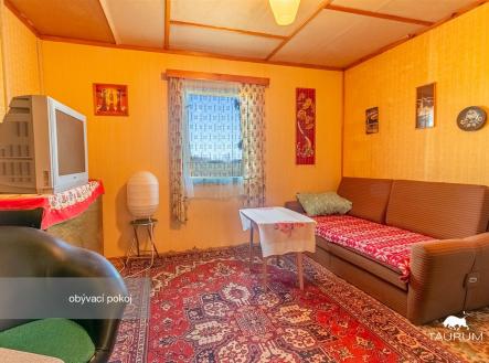 Světlý obývací pokoj s dřevěnými stěnami, kobercem a velkým oknem. Retro styl doplňuje starší televize a pohodlná pohovka. | Prodej - chata/rekreační objekt, 72 m²