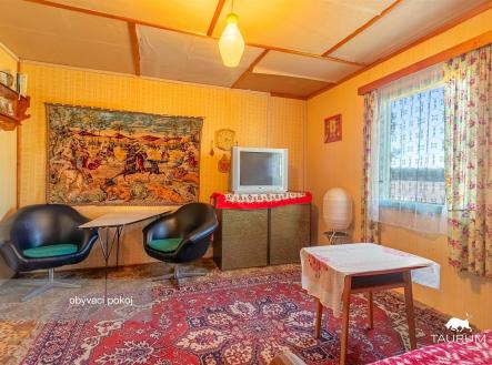 Světlý obývací pokoj s vintage kobercem, dřevěným obkladem a velkými okny, nabízející retro styl a útulnou atmosféru. | Prodej - chata/rekreační objekt, 72 m²