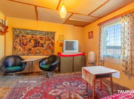 Světlý obývací pokoj s vintage kobercem, dřevěným obkladem a velkými okny, nabízející retro styl a útulnou atmosféru. | Prodej - chata/rekreační objekt, 72 m²