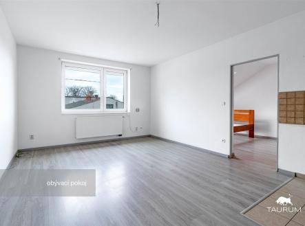 Světlý obývací pokoj s laminátovou podlahou a velkými okny, moderní interiér v rekonstruovaném domě. | Prodej bytu, 2+kk, 52 m²