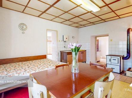 Obývací pokoj s kuchyňským koutem, dřevěný strop, světlé stěny, parketová podlaha, moderní vybavení, velká okna. | Prodej - dům/vila, 114 m²