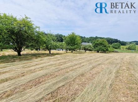 POZ3 | Prodej - pozemek pro bydlení, 1 443 m²