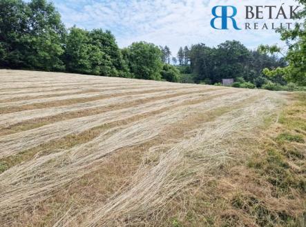 POZ6 | Prodej - pozemek pro bydlení, 1 443 m²
